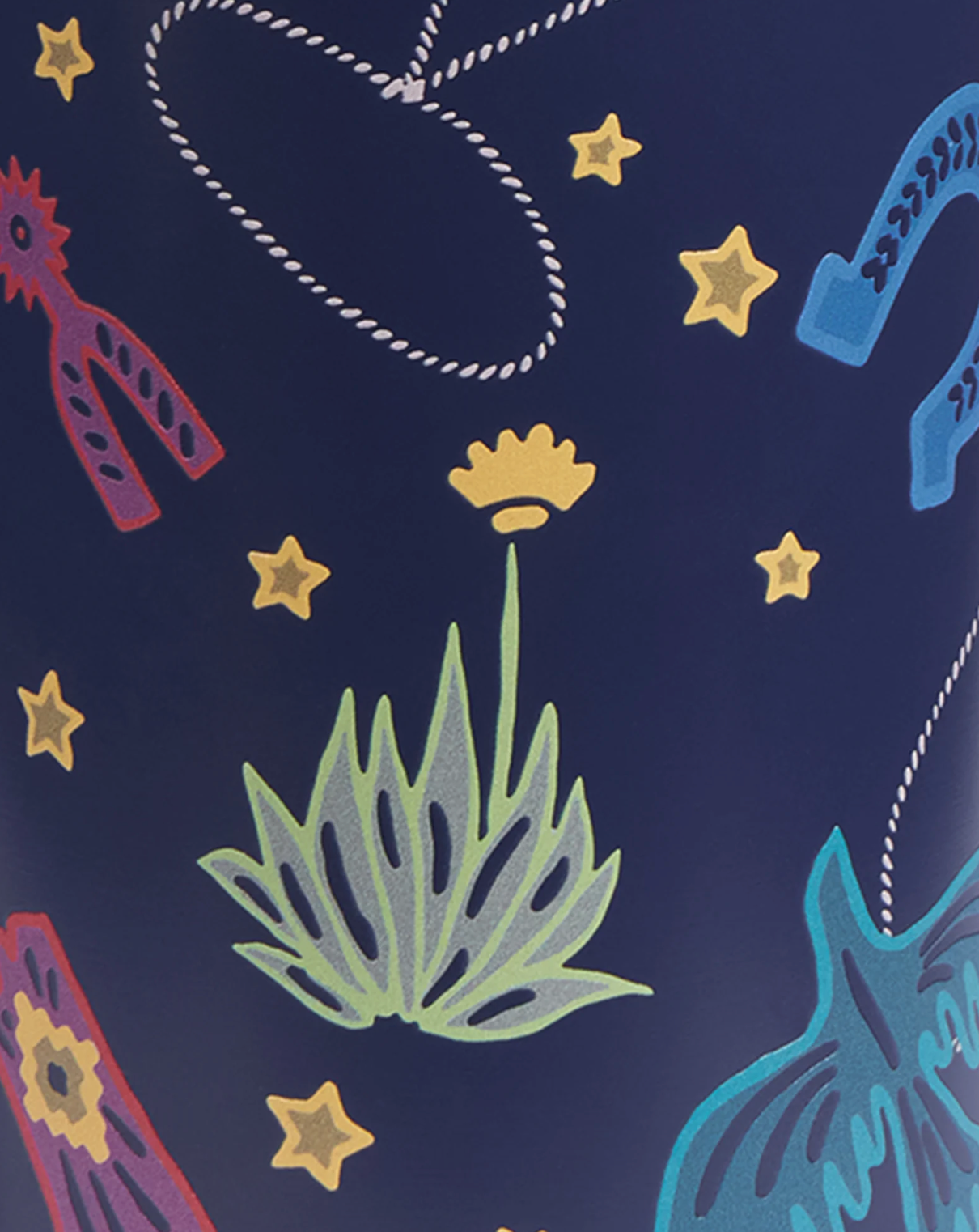 Pendleton Cosmic Rodeo 12 oz insulated bottle