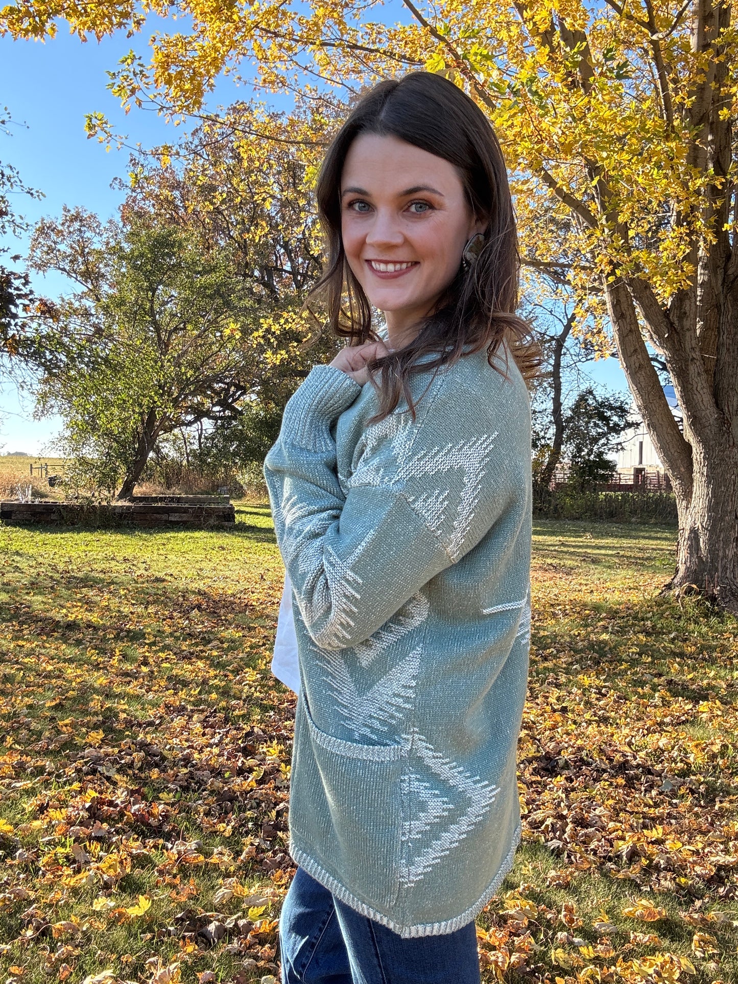 SIERRA SPRINGS CARDIGAN (two colors)