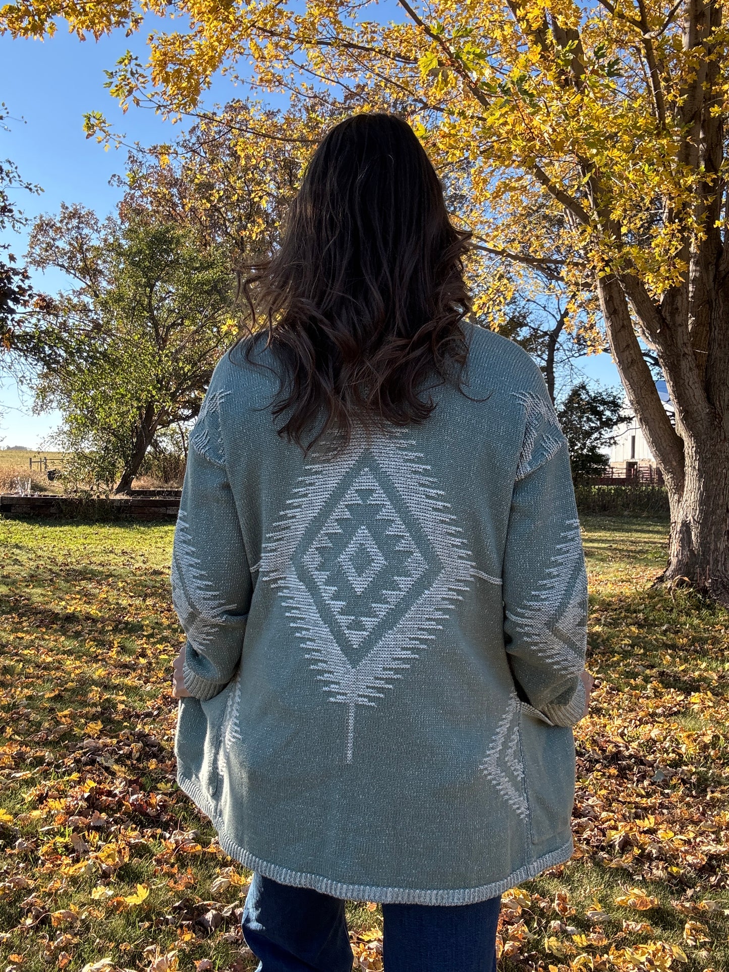SIERRA SPRINGS CARDIGAN (two colors)