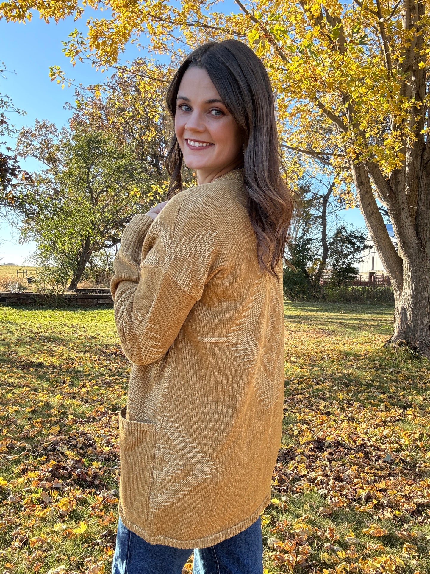 SIERRA SPRINGS CARDIGAN (two colors)