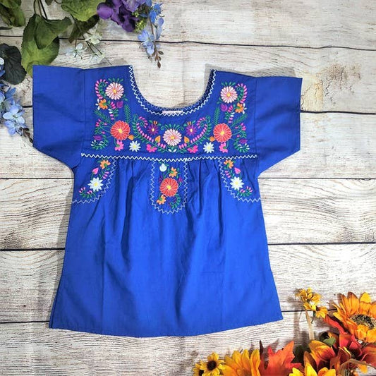 Beautiful Blue Embroidered Girls Blouse