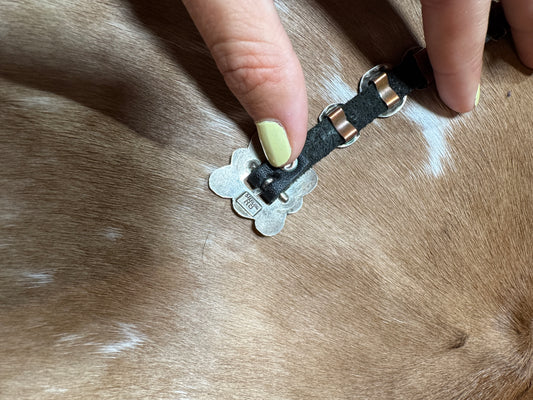 Leather Concho Bracelet