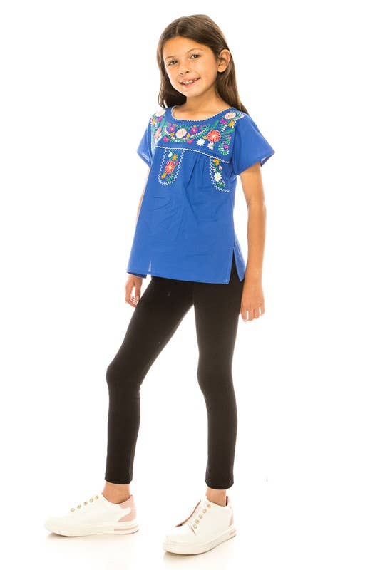 Beautiful Blue Embroidered Girls Blouse